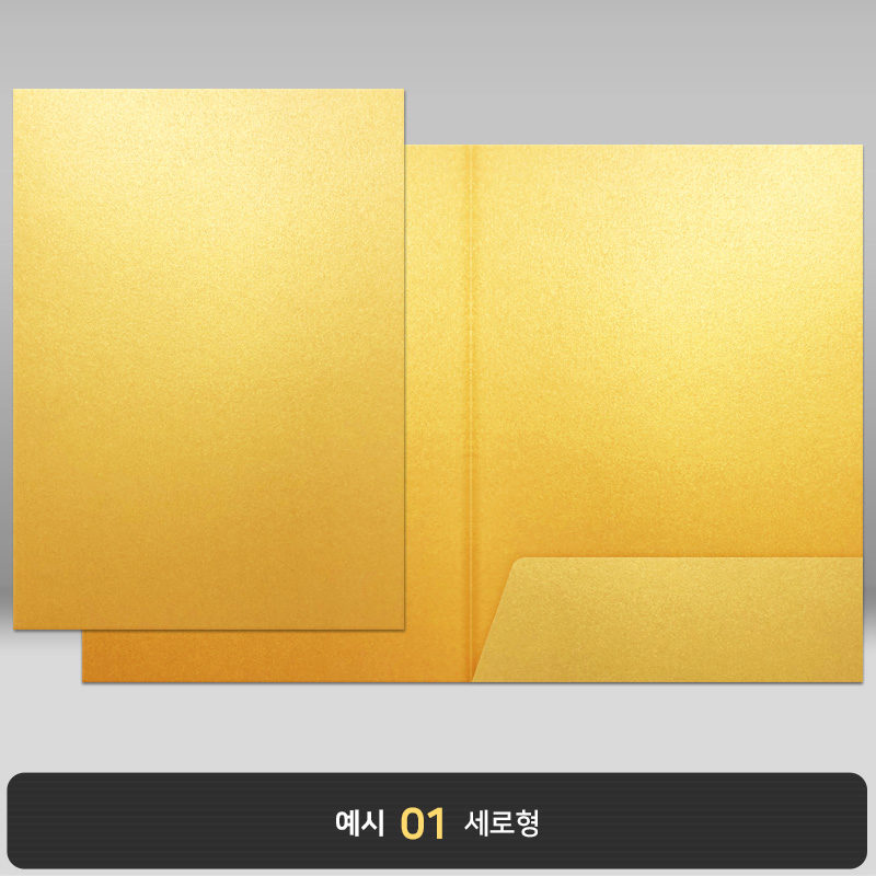 종이상장케이스_골드펄_한쪽포켓형 JH09