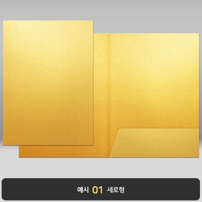 종이상장케이스_골드펄_한쪽포켓형 JH09