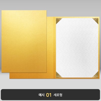 종이상장케이스_골드펄_면지형 JC09