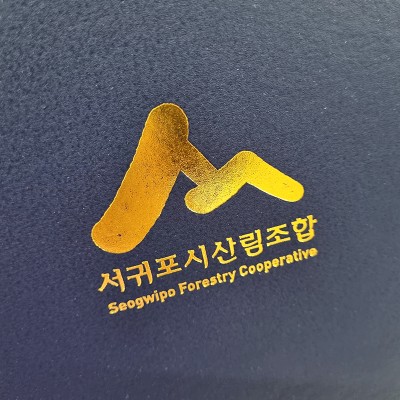 상장케이스 샘플_세로형_군청_지레자 SC000689