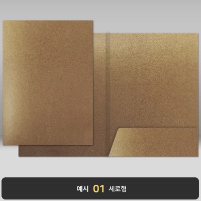 종이상장케이스_황동펄_한쪽포켓형 JH17