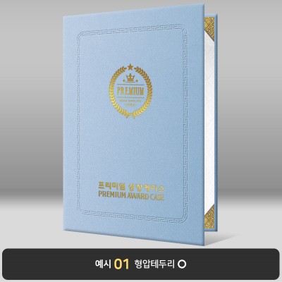 상장케이스_세로형_스카이_엠보패턴 A49