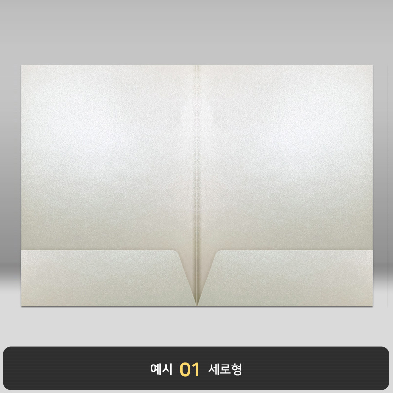 종이상장케이스_화이트펄_양쪽포켓형 JH12_2