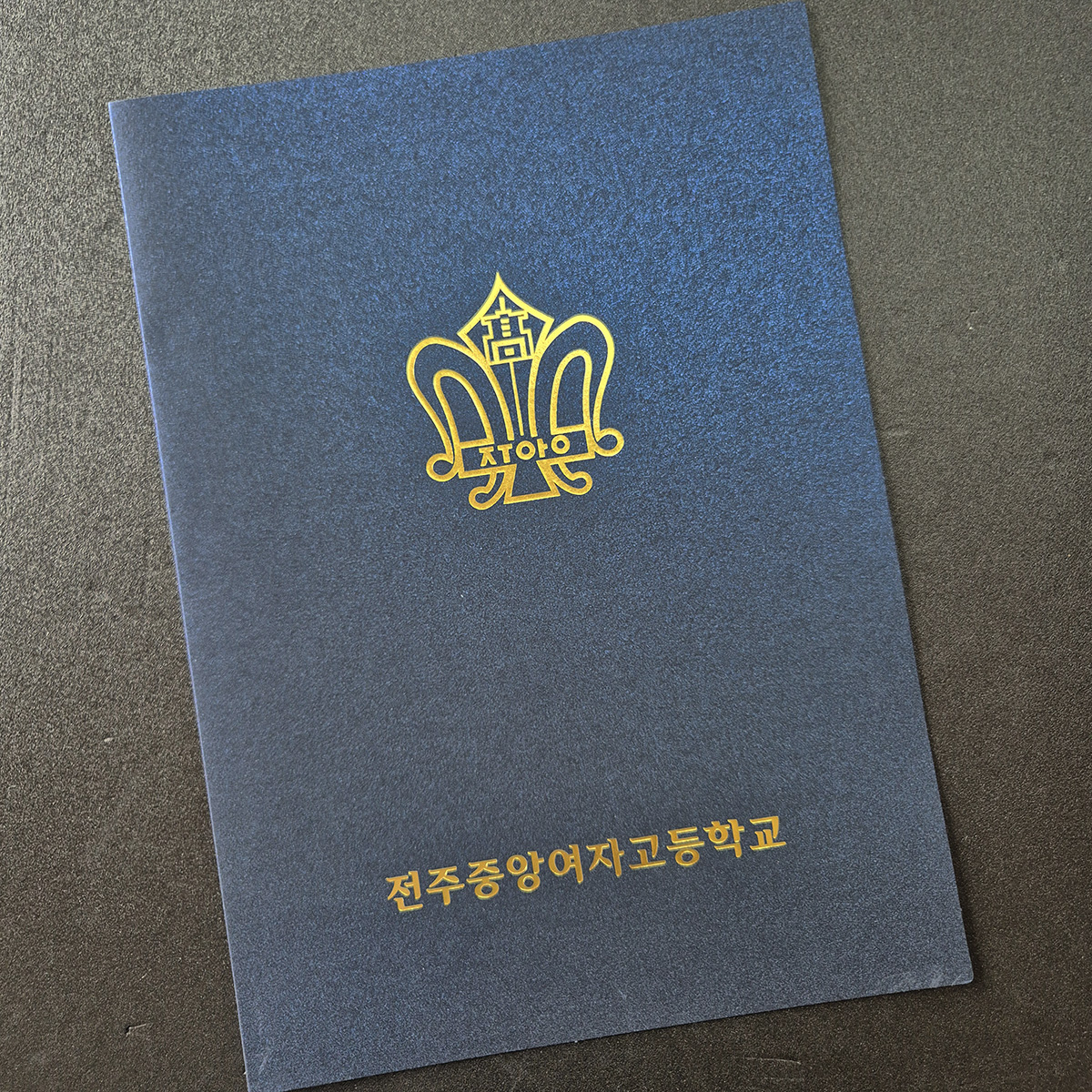 블루펄 종이상장케이스 기본형 SC001165