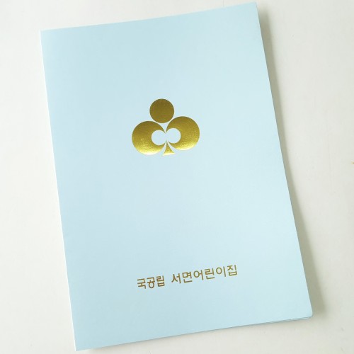 스카이블루펄 종이상장케이스 면지형 SC001173