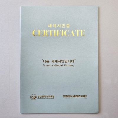 스카이블루펄 종이상장케이스 면지형 SC001208