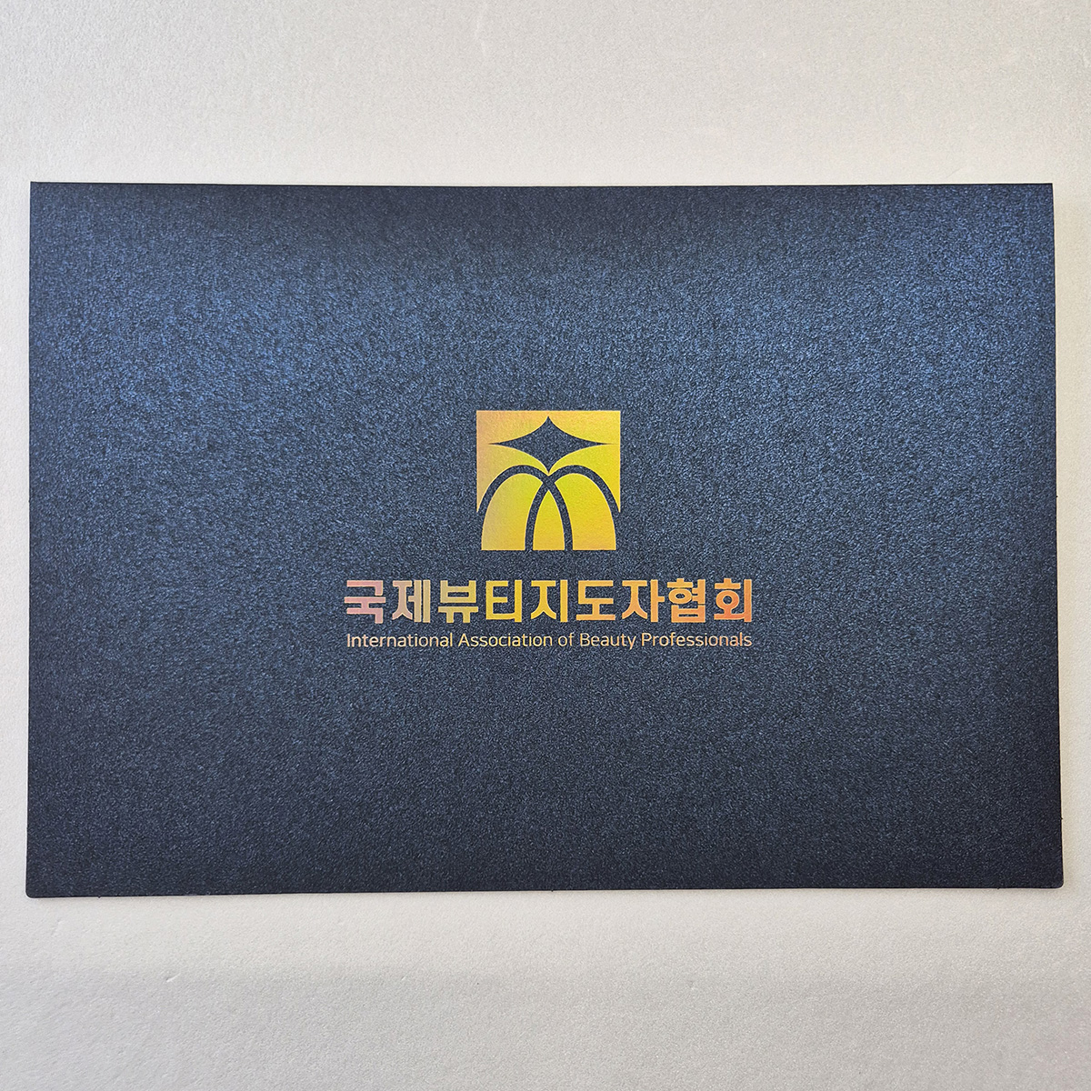 블루펄 종이상장케이스 기본형 SC001284