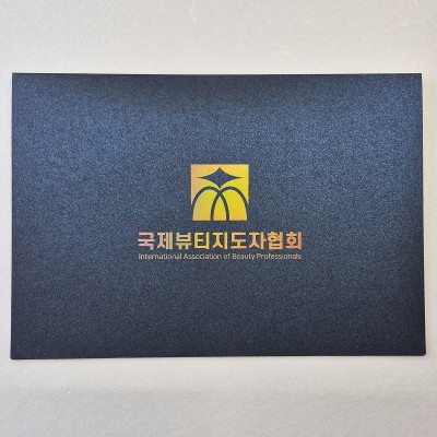 블루펄 종이상장케이스 기본형 SC001284