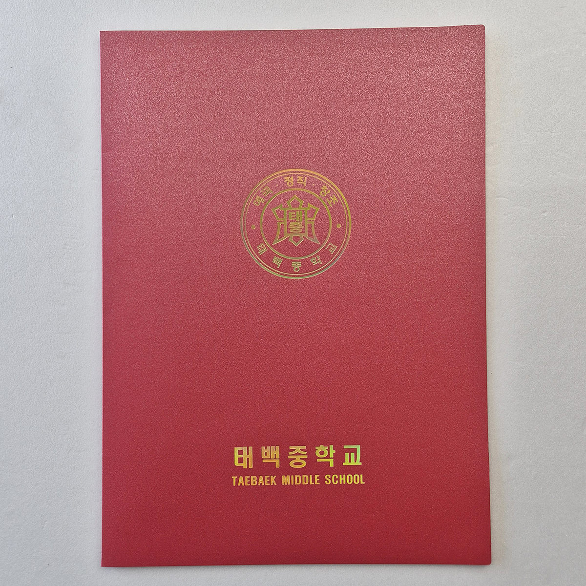 체리펄 종이상장케이스 한쪽포켓형 SC001302