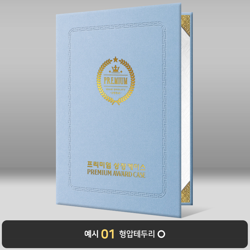 상장케이스_세로형_스카이_엠보패턴 A49