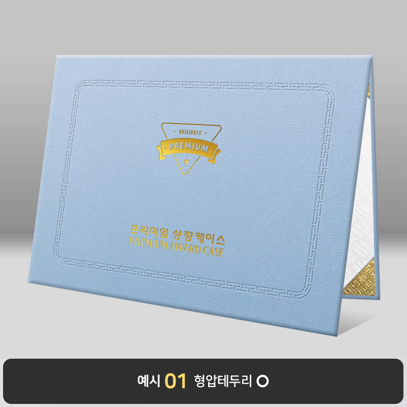 상장케이스_노트북형_스카이_엠보패턴 A50