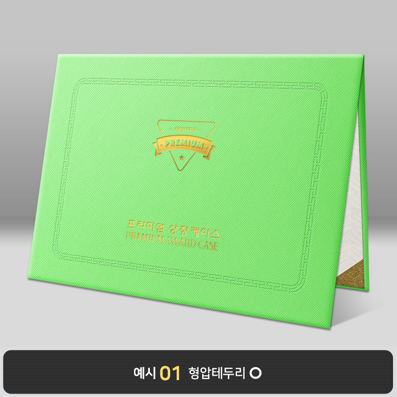 상장케이스_노트북형_라임_엑스패턴 B05